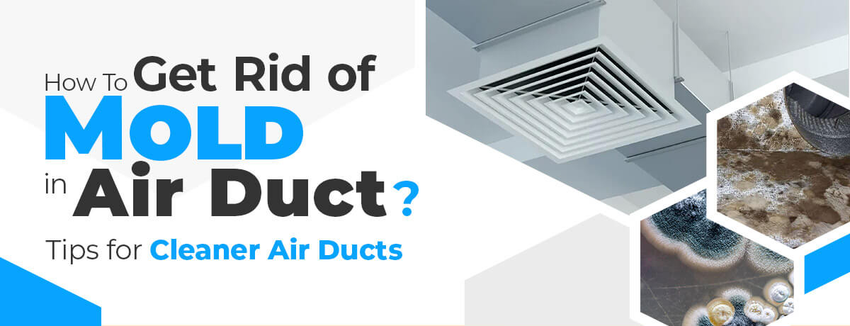 How To Get Rid of Mold in Air Duct(Image)